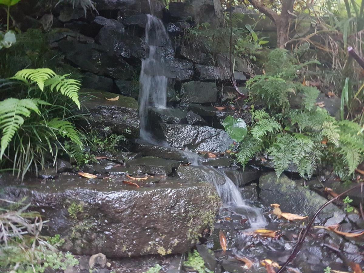 مبيت وإفطار Walton Streamside Country Manor المظهر الخارجي الصورة
